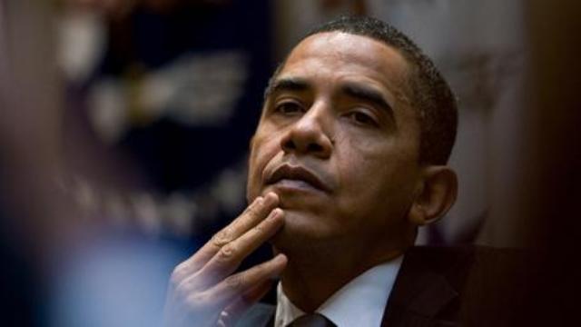 Image of The Journal: Obama's First Year