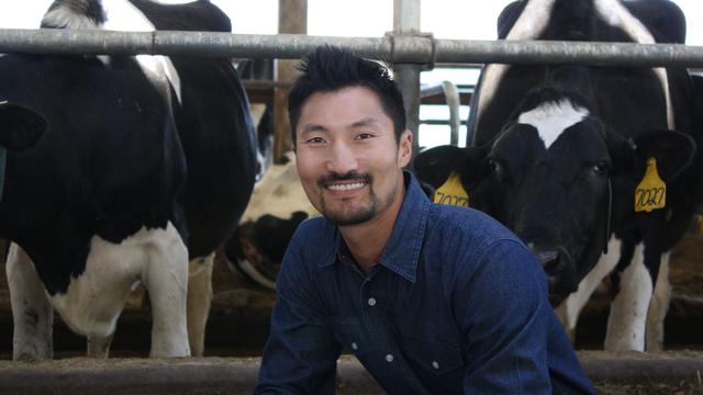 Image of Electric Nation