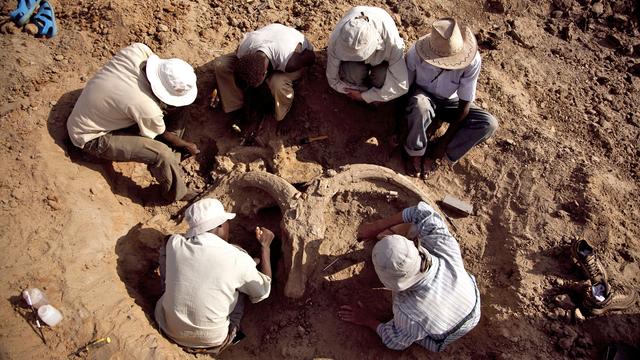 Image of Full Program