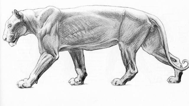 Image of Joseph Leidy and Charles Knight