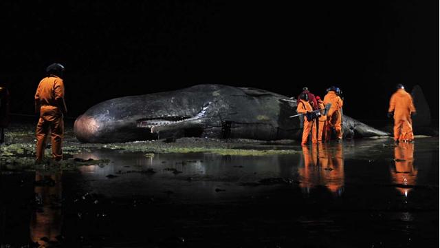 Image of Sperm Whale