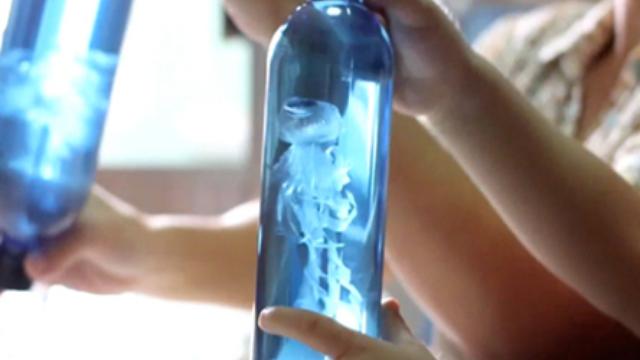 Image of Jellyfish Craft for Kids