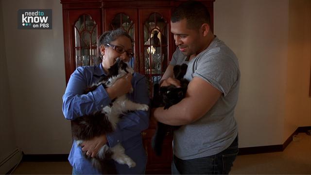 Image of Need to Know 7/27/12