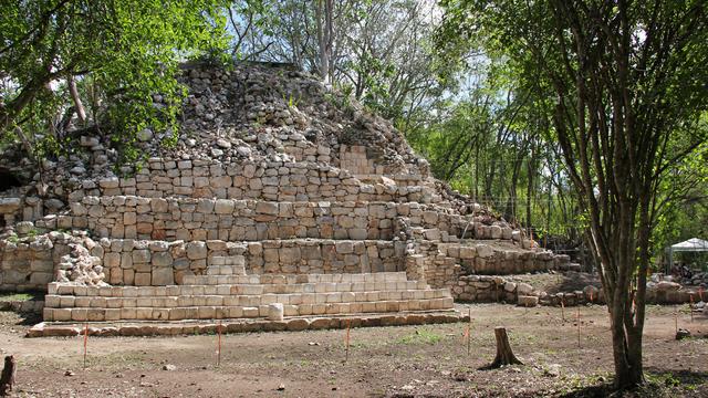 Image of The Rise and Fall of a Civilization