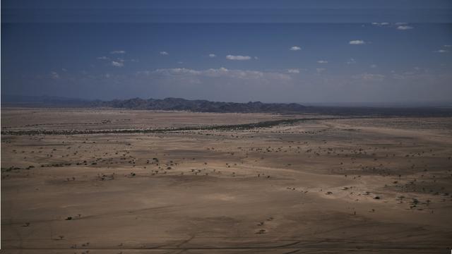 Image of Richard Leakey's Life and Work in Kenya