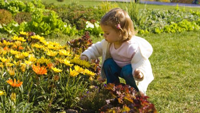 Image of Simple Tips for Summer Math Learning