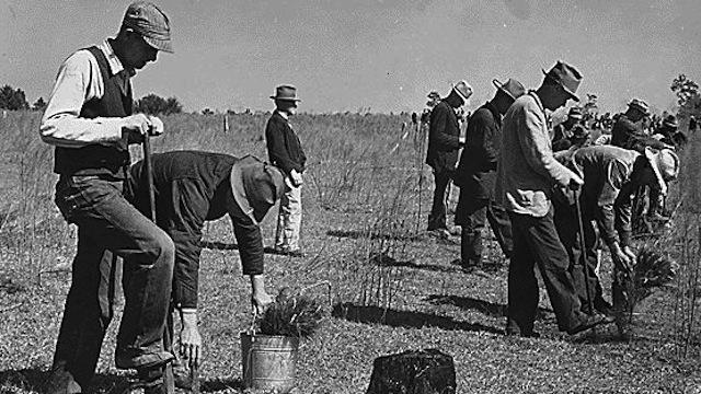 Image of The New Deal