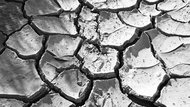 Image of Why the World Needs Better Science Journalism