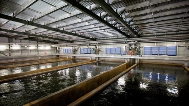 Image of Researchers Consider Graphene as a Cure for Desalination...