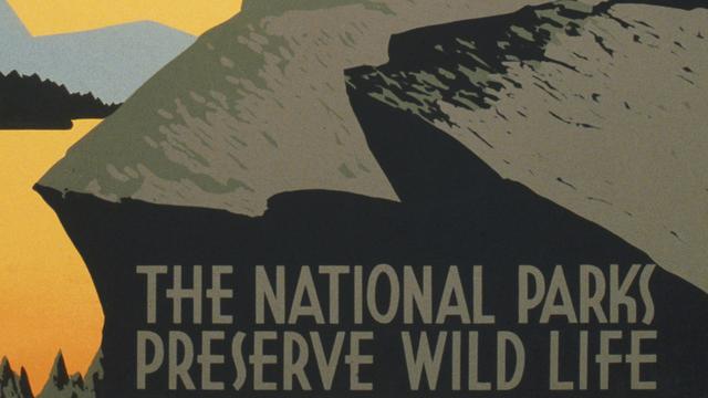 Image of National Parks, National Forests, or Wilderness