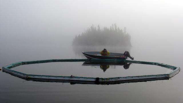 Image of Scientists Protest Lakes Closure