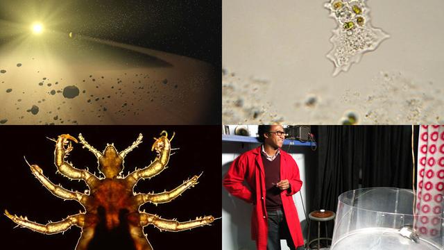 Image of Where Did We Come From?