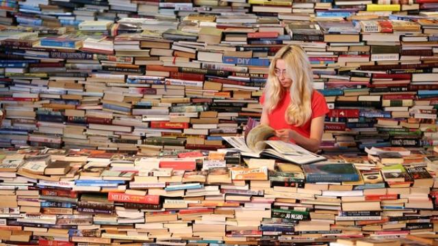 Image of The Daily Frame