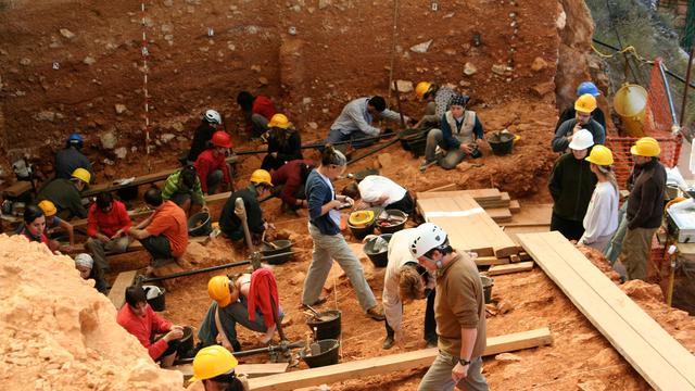 Image of Becoming Human Part 2