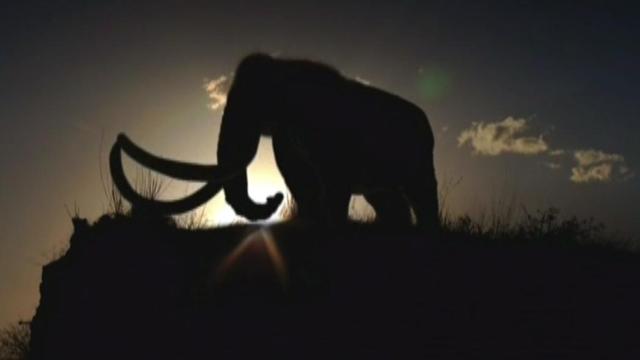 Image of Ice Age Death Trap