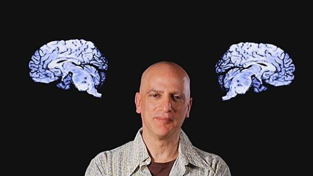 Image of Dave Sulzer: Neuroscientist