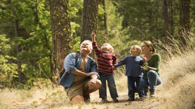 Image of Getting Your Kids to Plug into Nature