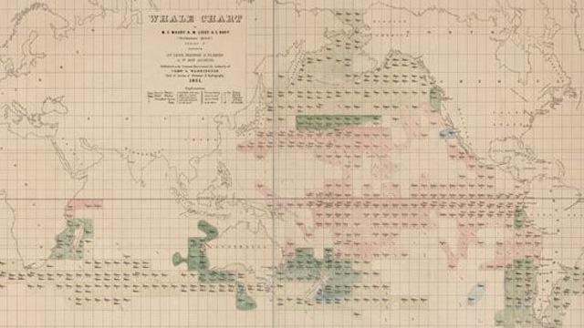 Image of Biography of Herman Melville